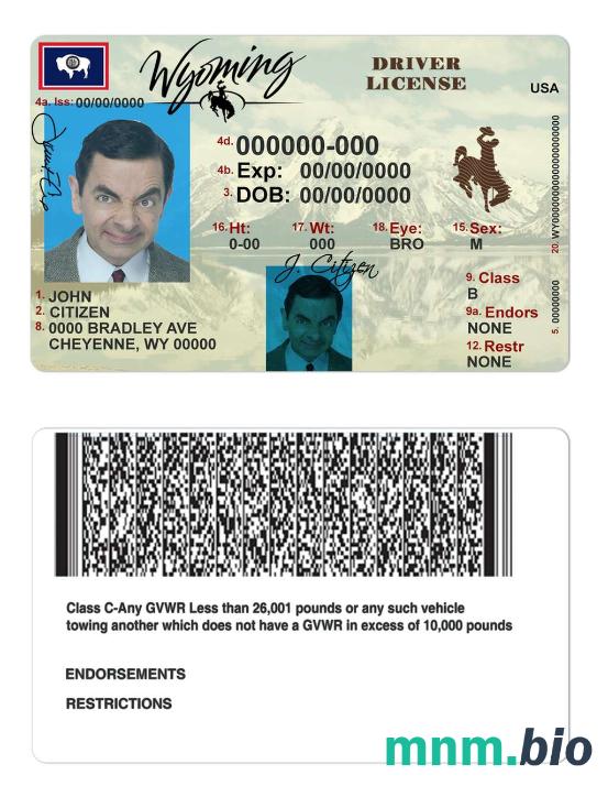 Szablon prawa jazdy USA Wyoming state w formacie PSD, ze wszystkimi czcionkami